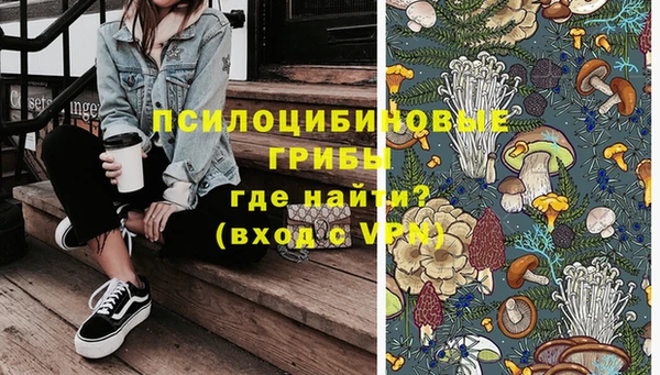 шишки Горнозаводск
