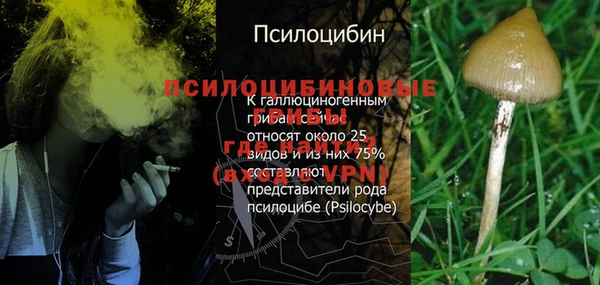 амф Белоозёрский