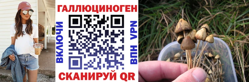 Псилоцибиновые грибы Psilocybine cubensis Болотное
